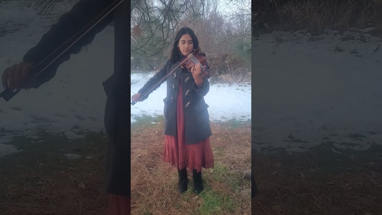 Noam Sofia 2026 Audition - violin
