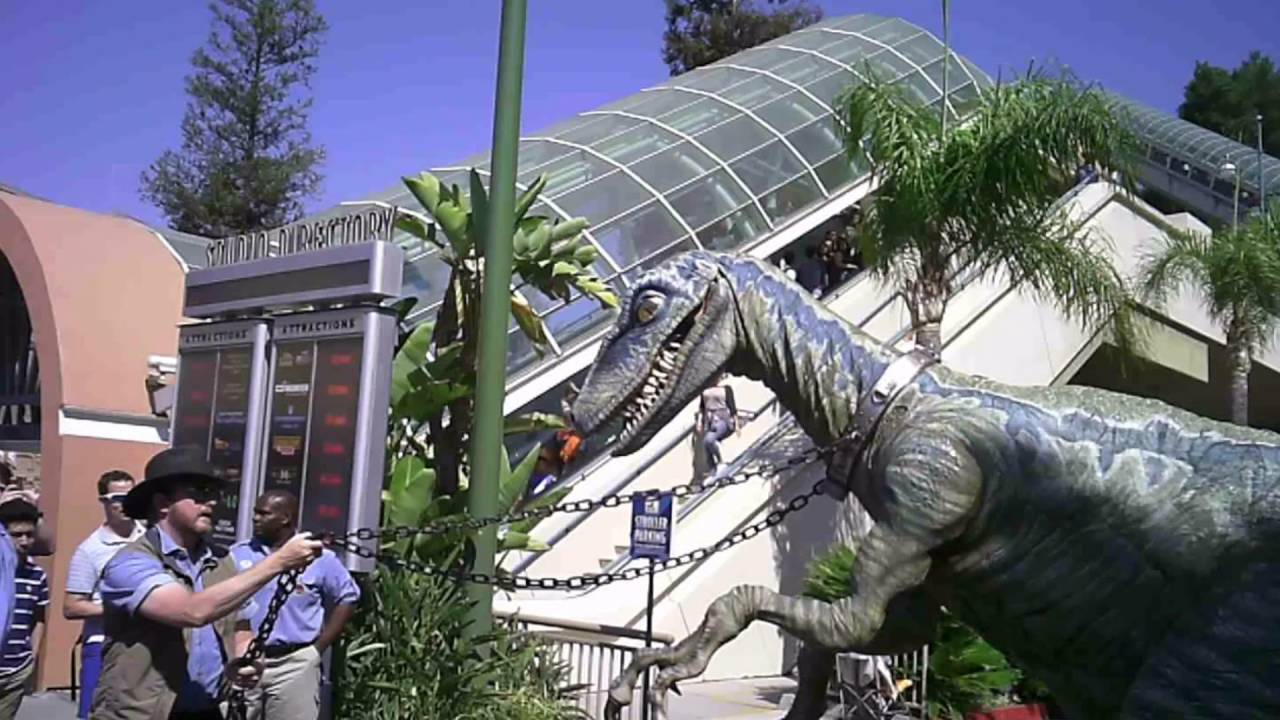 Знакомство с динозаврами Bravo Raptor из Юрского периода в тематическом парке Universal Studios H...