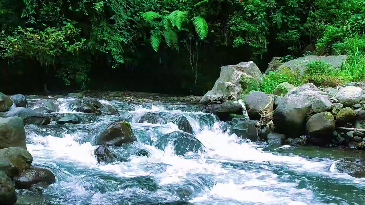 Peaceful River Stream Sounds  10 Hours Calming Water for Anxiety Relief