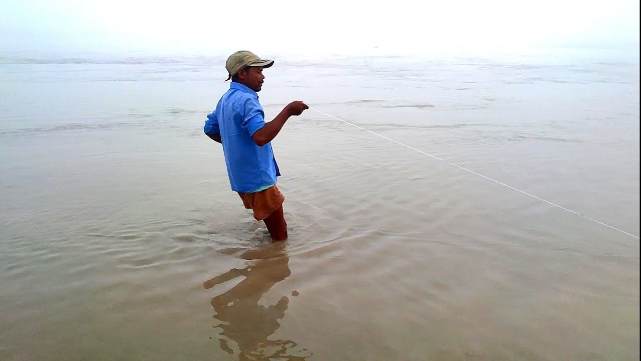 hook fishing || 200 mm की डोर 12 नंबर का कांटा बड़ी मछली ने तोड़ दिया और एक मछली हाथ से निकल गई