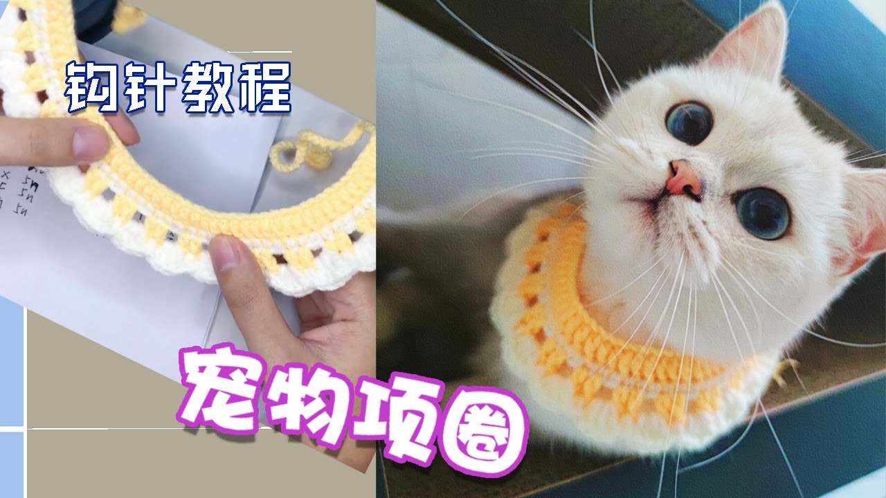 80简单的宠物项圈，两个基础针法打造温婉猫咪项圈
