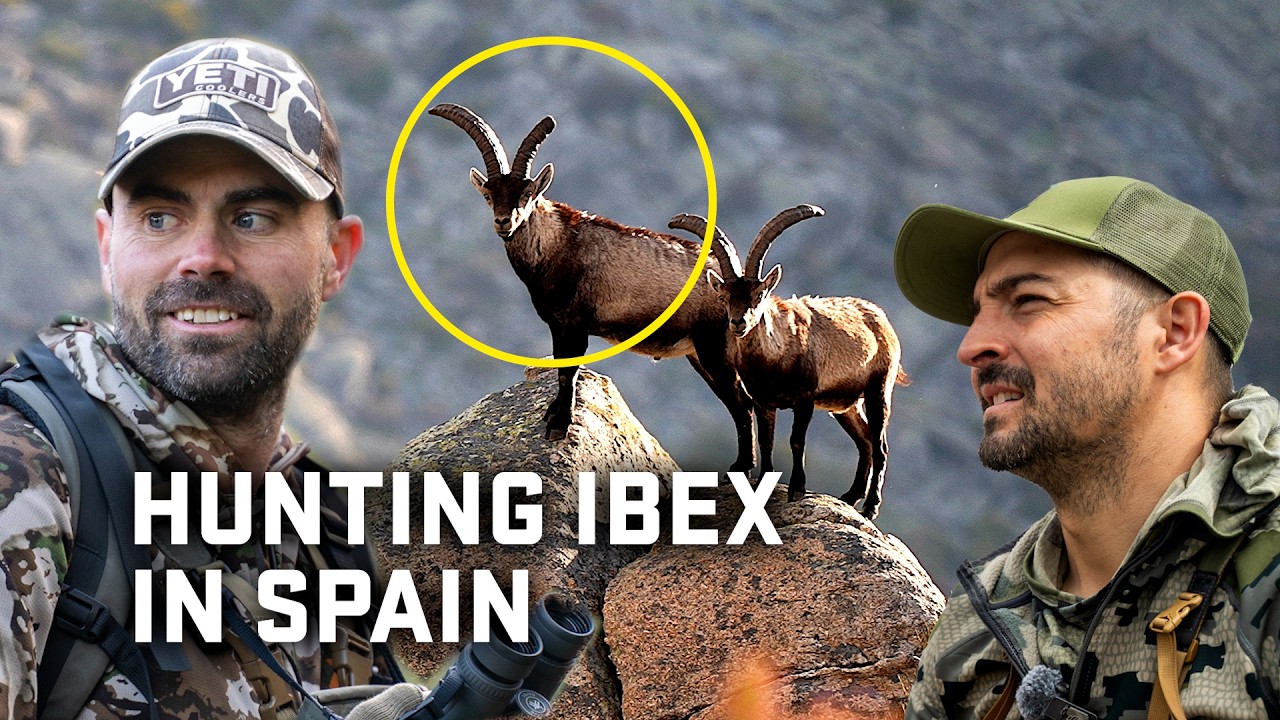 Bowhunting the Oldest Billy Goat in Spain&rsquo;s Gredos Mountains
