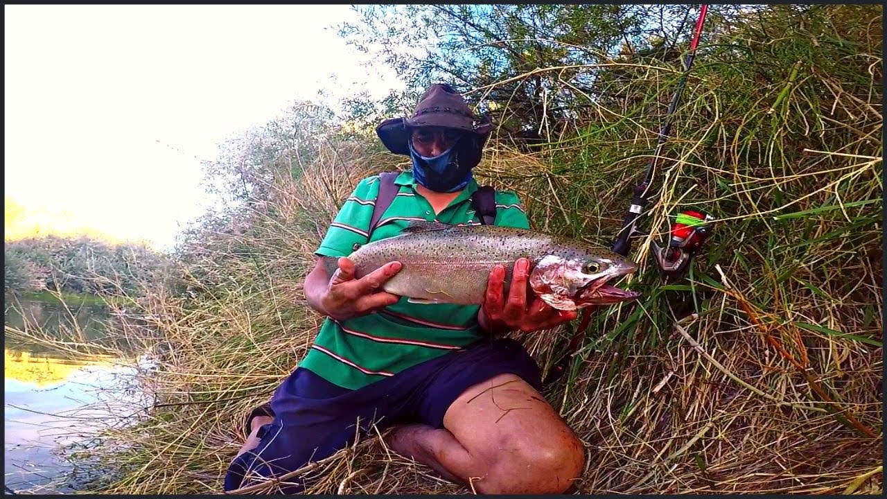 PESCA de Trucha Arcoiris con cucharas en  La Angostura - Rio - Chubut - Patagonia Argentina