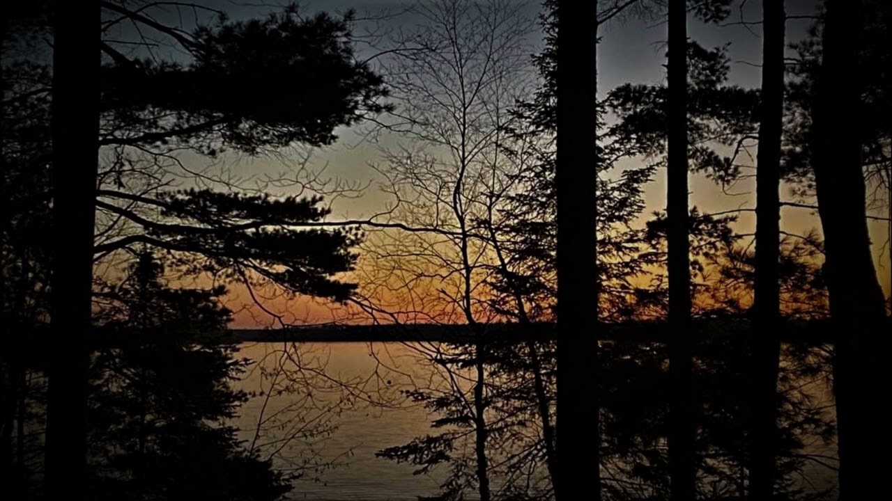 Sounds of the North Woods
