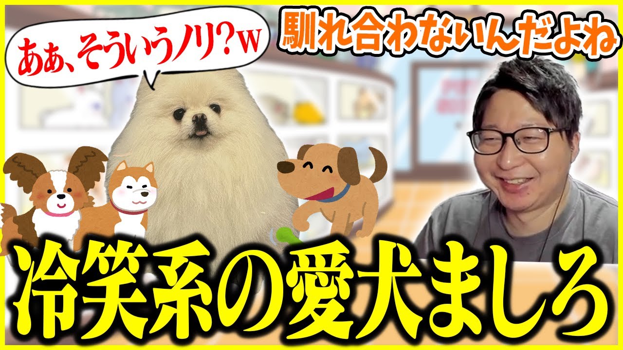愛犬ましろは冷笑系だと話すたいじ【切り抜き】