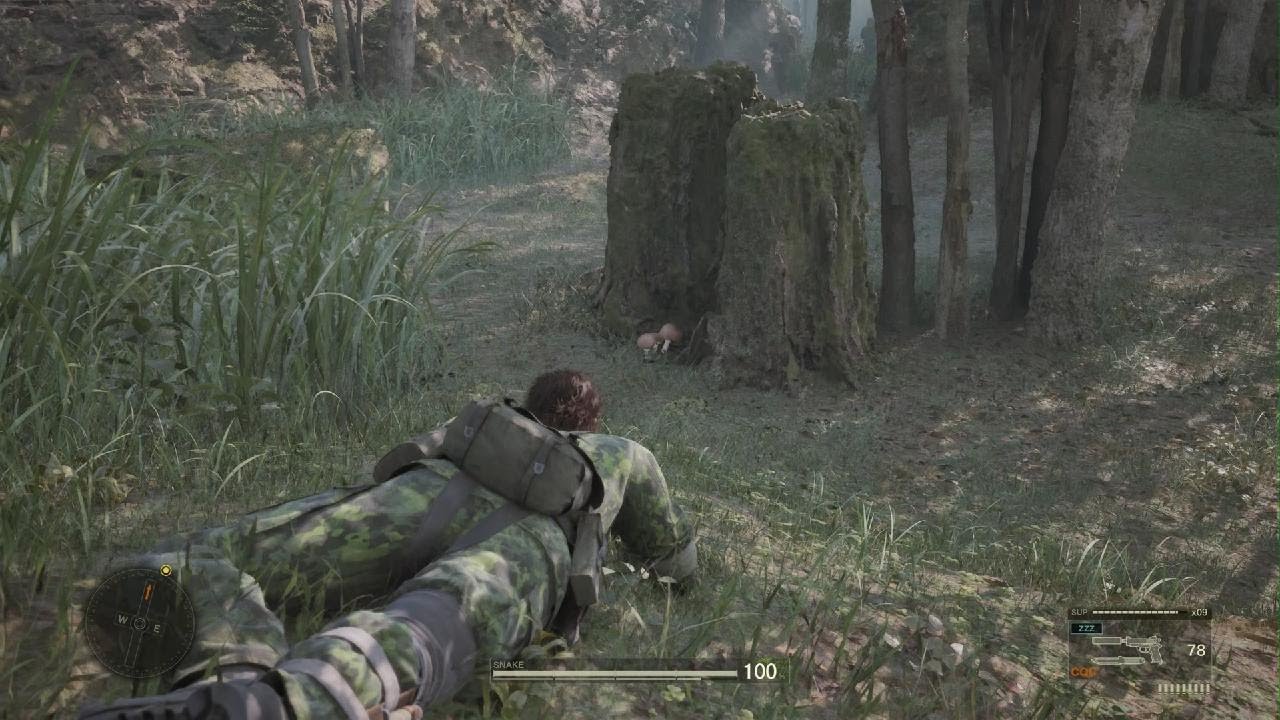 METAL GEAR SOLID &Delta;: SNAKE EATER How to achieve 100% camo index