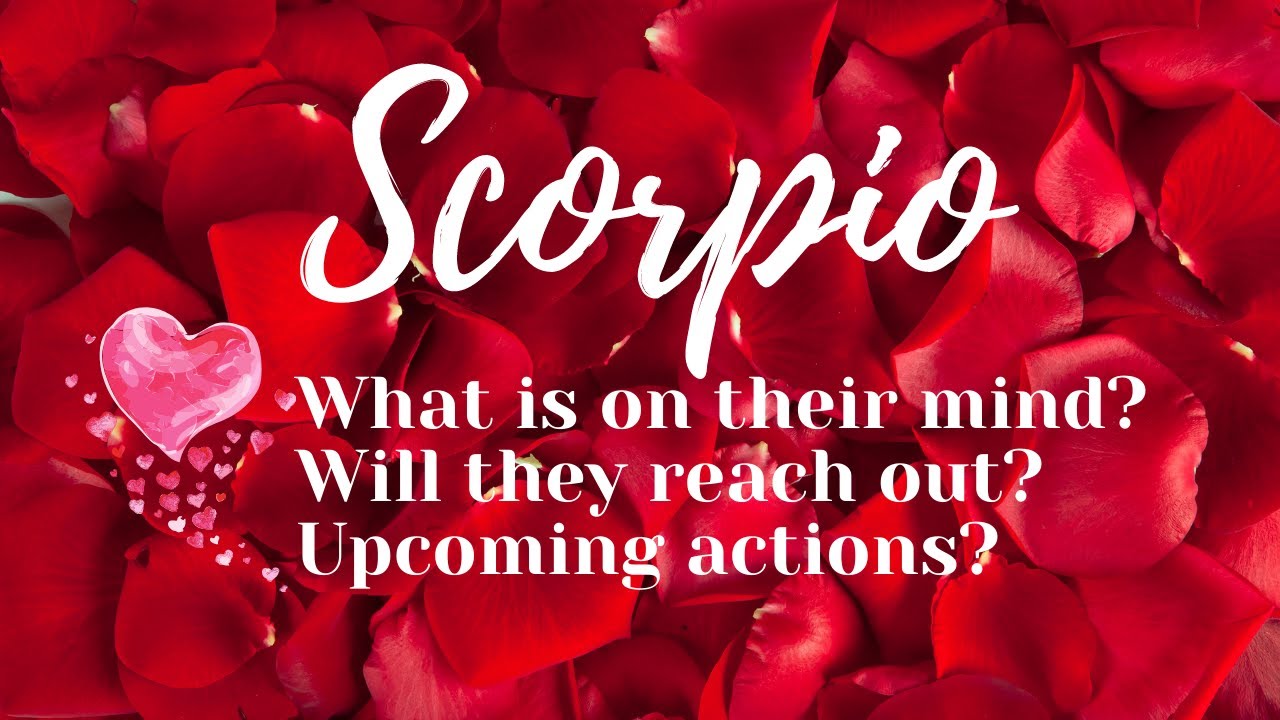 Scorpio 💖They are worried that you may not take them back! #Love #Tarot Reading #Timeless