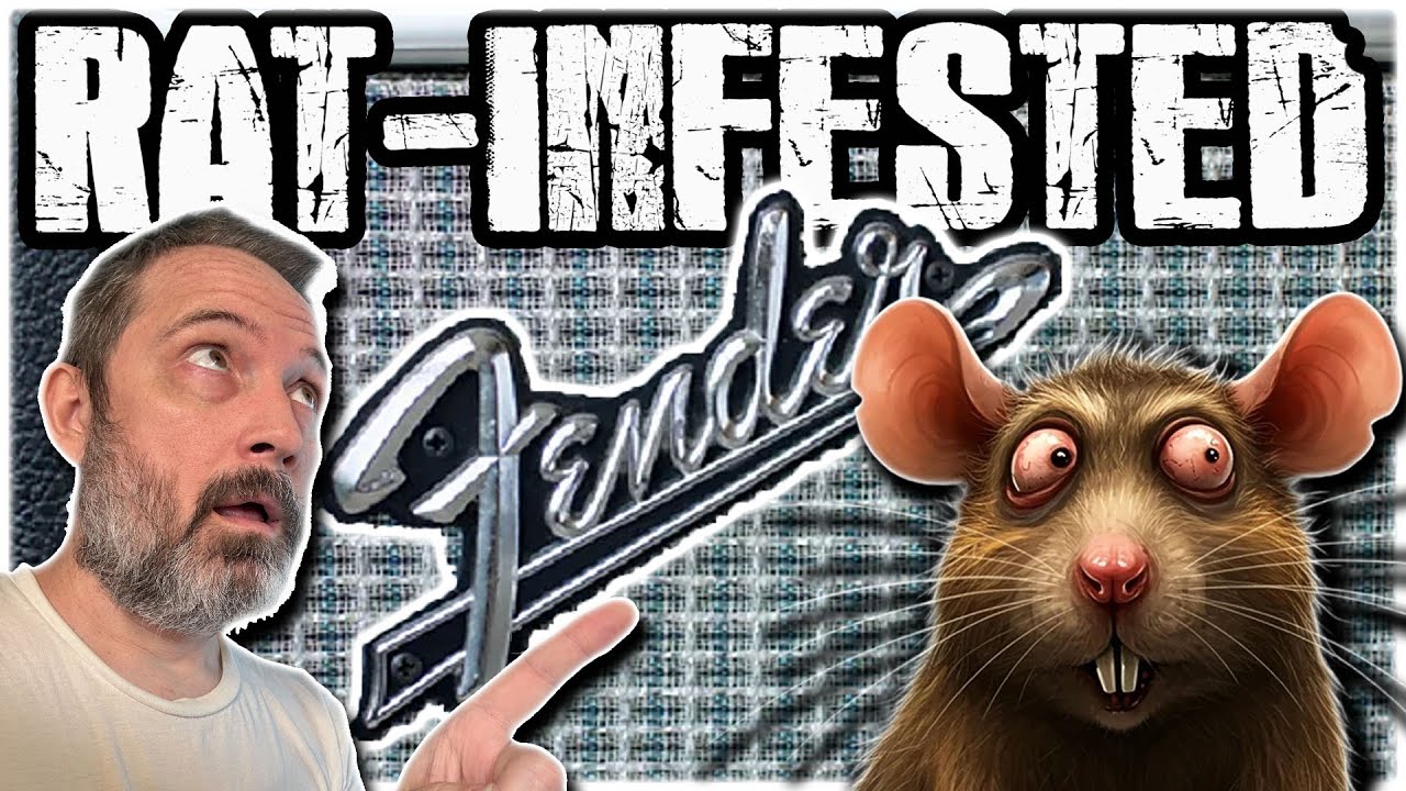 $450 RAT-INFESTED FENDER AMP...Rescued from a BARN! | The Guitologist