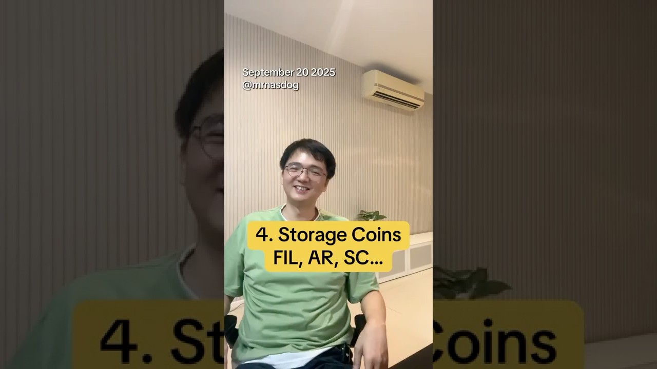 Decentralized Storage:Filecoin (fil), Arweave (AR), Siacoin(SC), STORJ. #crypto #investment #altcoin