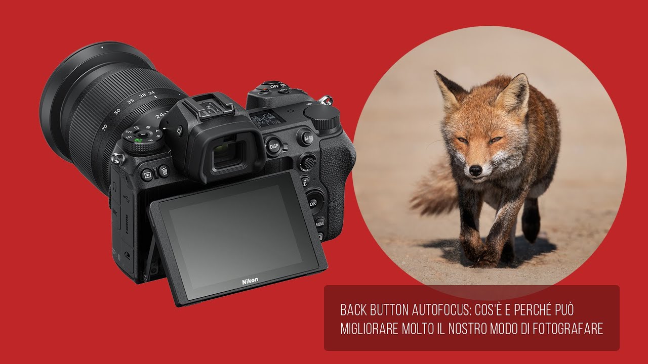 Back button autofocus: cos'è e perché può migliorare molto il nostro modo di fotografare