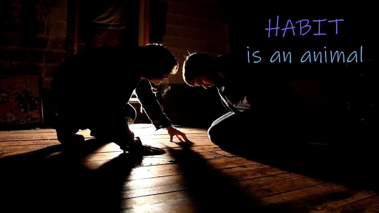 HABIT acting animalistic compilation
