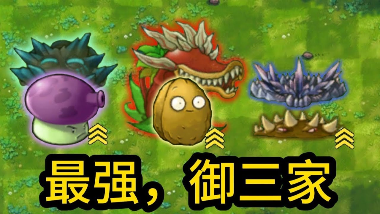加 入 光 荣 的 进 化 吧！