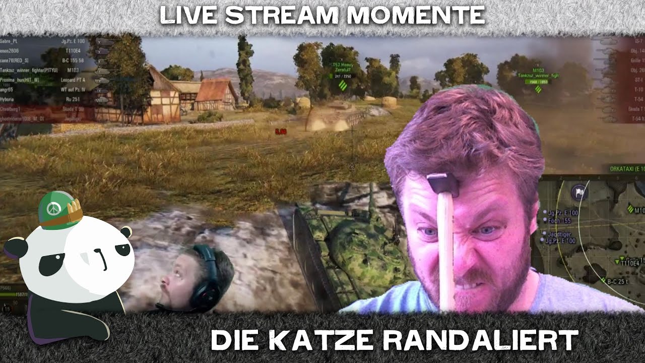 Best of gRuMM3l 3 || Die Katze randaliert