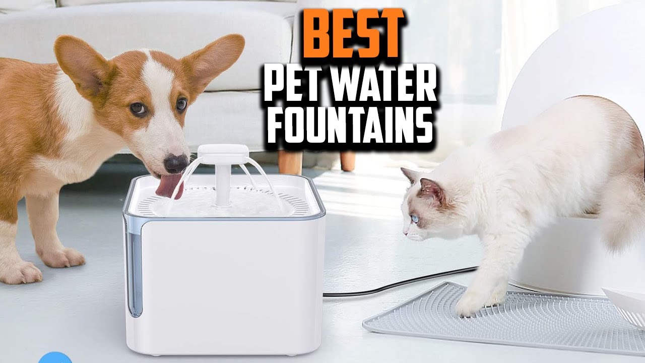 Top 10 Best Pet Water Fountains in 2025 Reviews