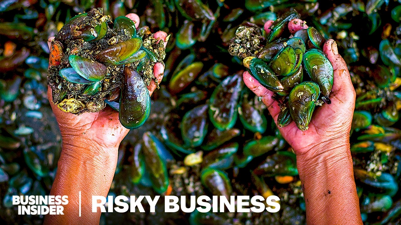 How Families Risk Their Lives Harvesting Toxic Green Mussels In Indonesia