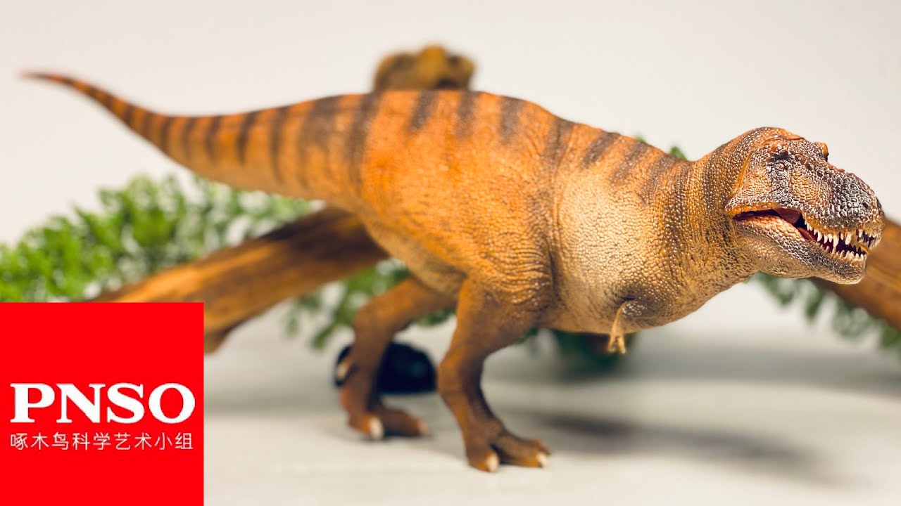 PNSO 2020 Tyrannosaurus rex “Winter Wilson” Review!!