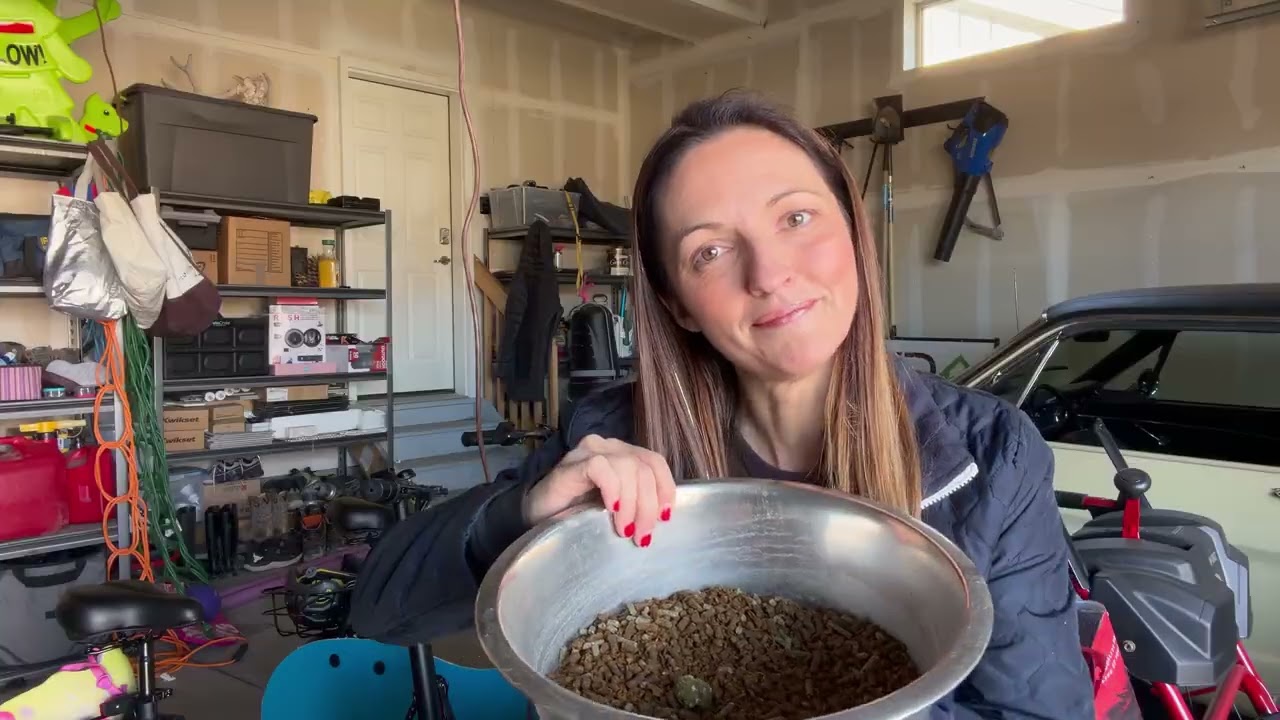 Ready to leg up your horses after winter? use this