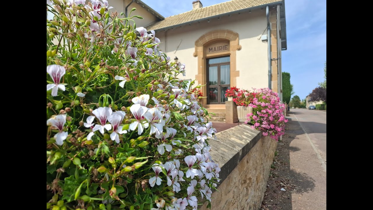 Rétrospective Volesvres 2025
