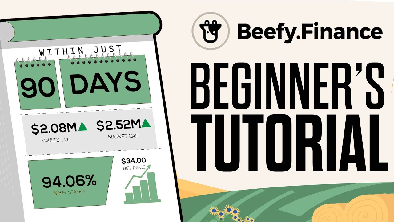 How To Use Beefy Finance - Quick And Easy!