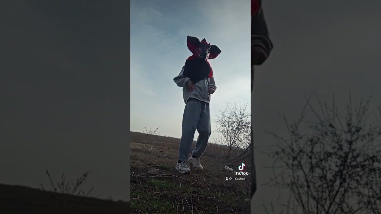 для дуэтов#furry #стендик #fursuit #драго #залити #dinomask #fnaf #юмор