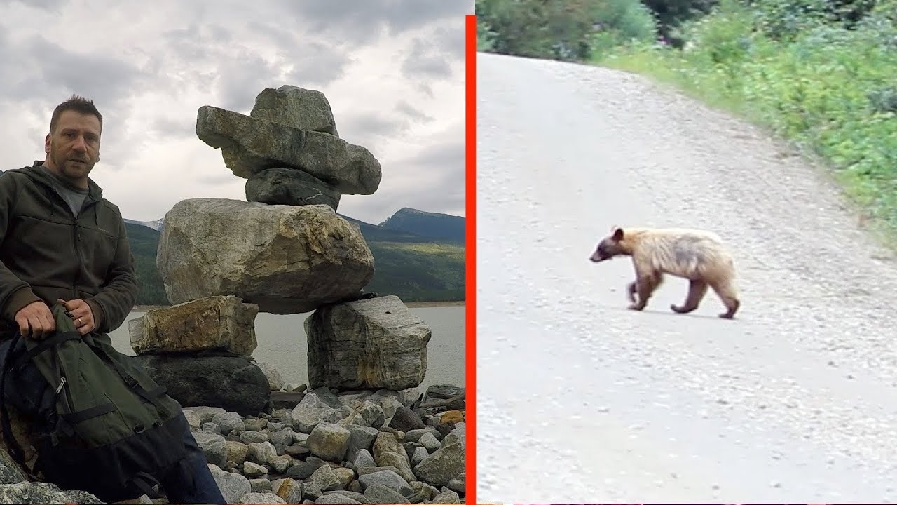 Amazing Secret Campsite & Blond Bear On Abandoned Backroad