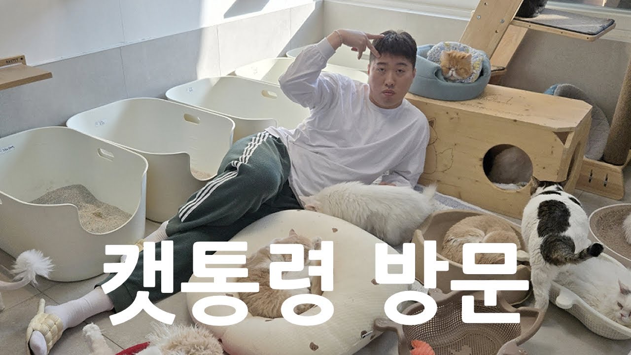 춘봉 첨지 아버지의 보호소 방문
