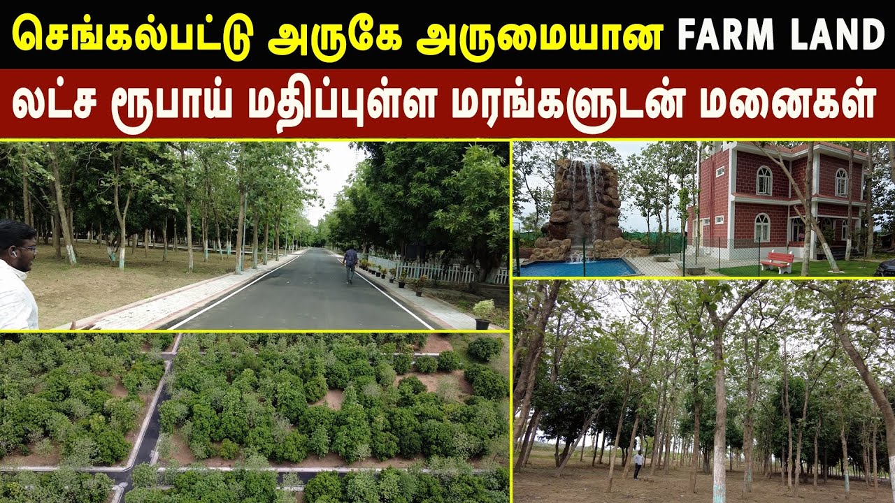 Premium Teakwood Farm Land in Chengalpattu for Sale | Great Investment Opportunity