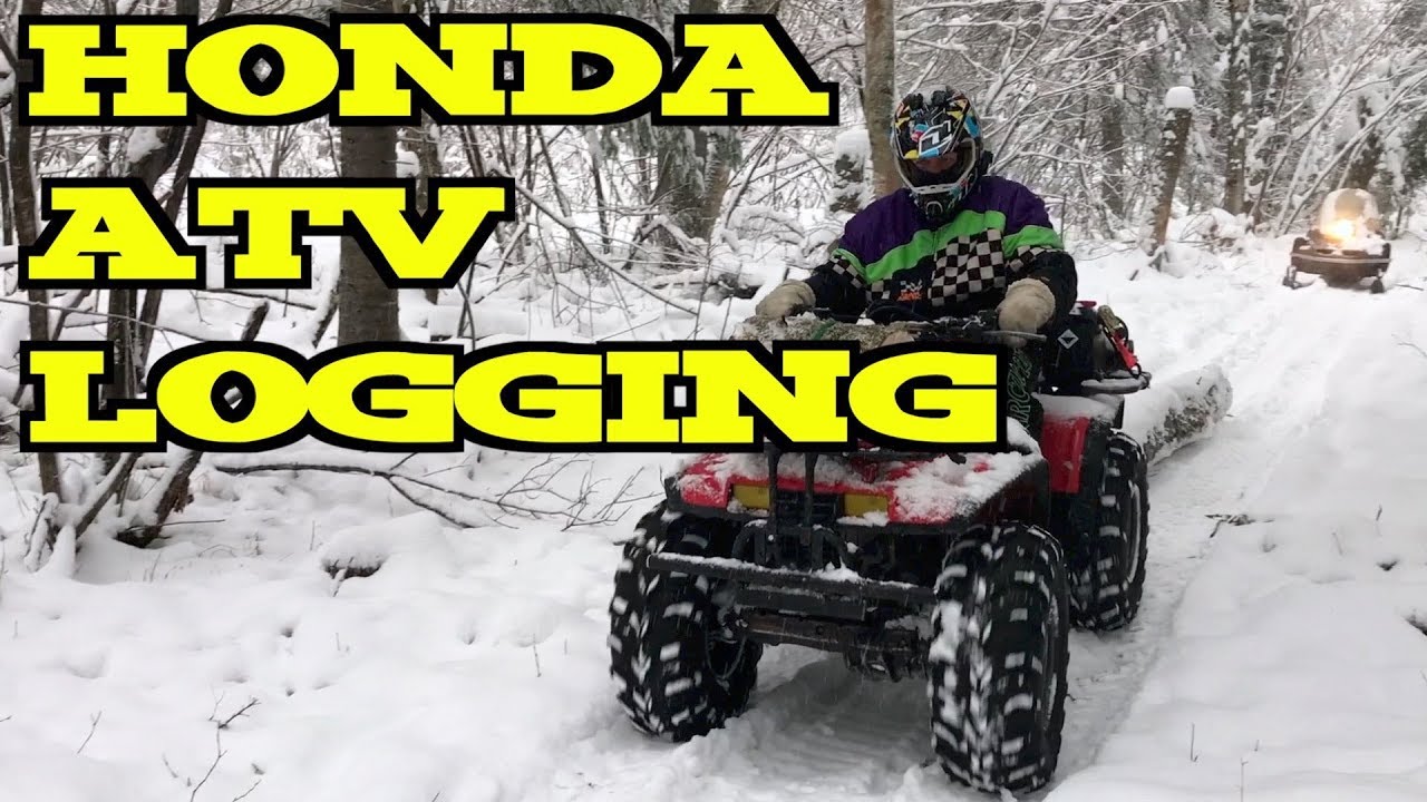 ❄️⛄️ Snowy ATV Logging  - Nov. 4, 2017