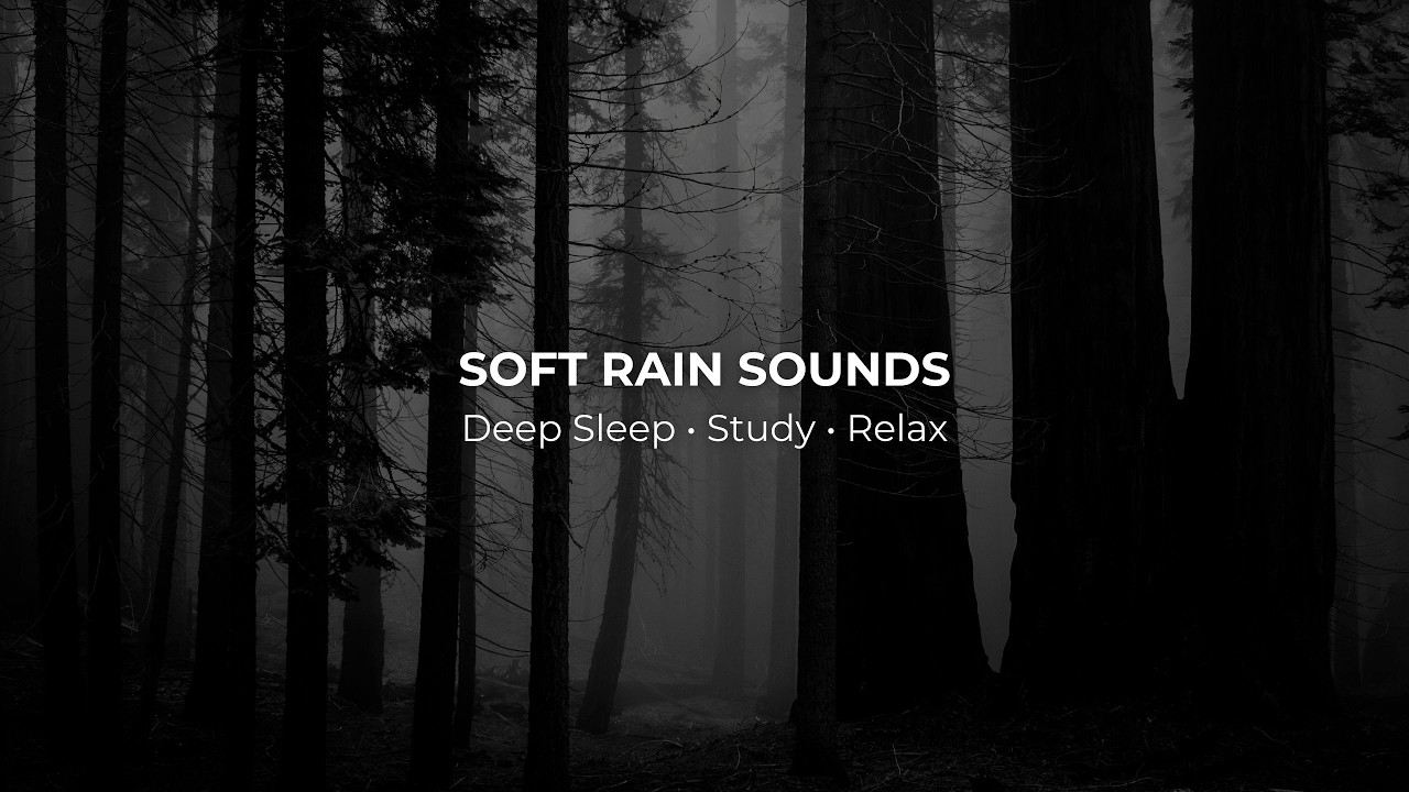 Quiet Night Forest Rain 🌙 Soft Rain Sounds for Insomnia Relief | 8 Hours