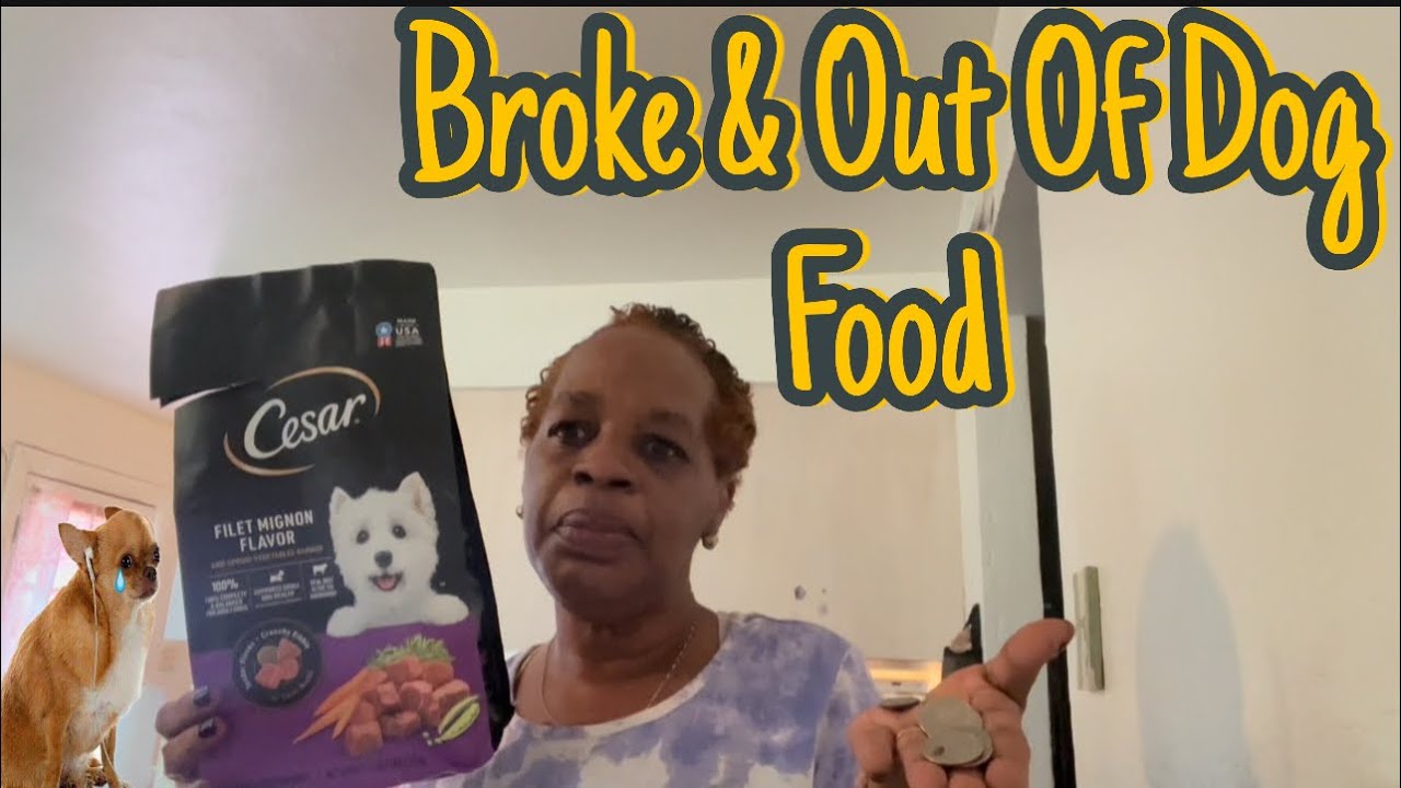 Homemade dog food (that’s vet approved) when Money Running Low!