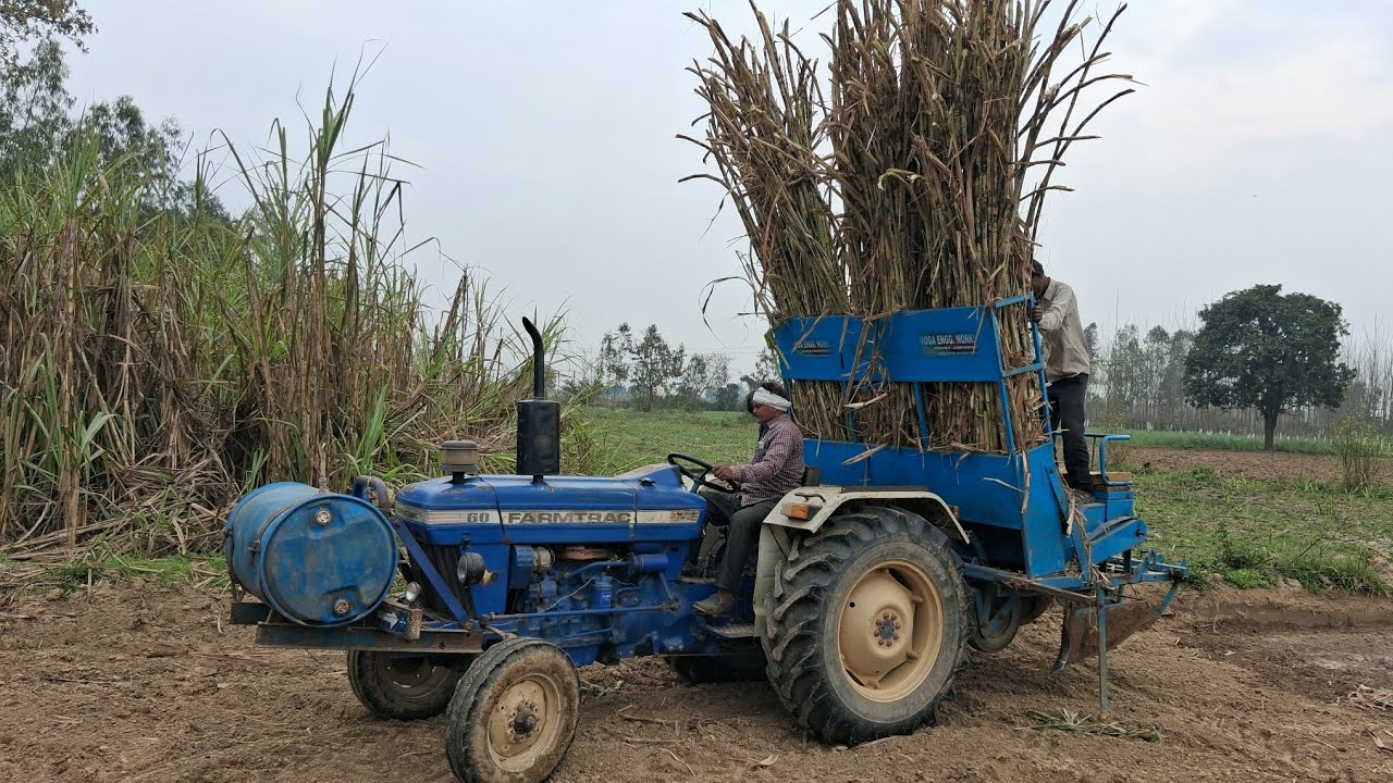 गन्ना बुवाई का काम हुआ आसान//मशीन द्वारा गन्ना की बुवाई//farmtrac 60 @sandhusaabuk18