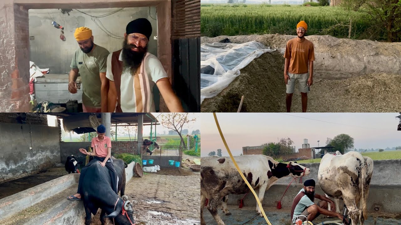 Evening routine // dhillon brothers