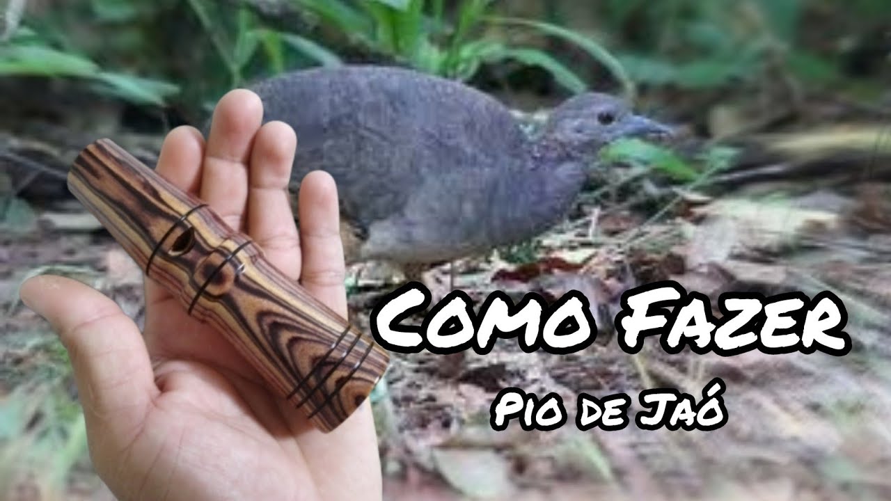 COMO fazer PIO de JAÓ