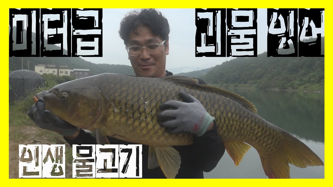 미터급 괴물 잉어! 인생 물고기!!