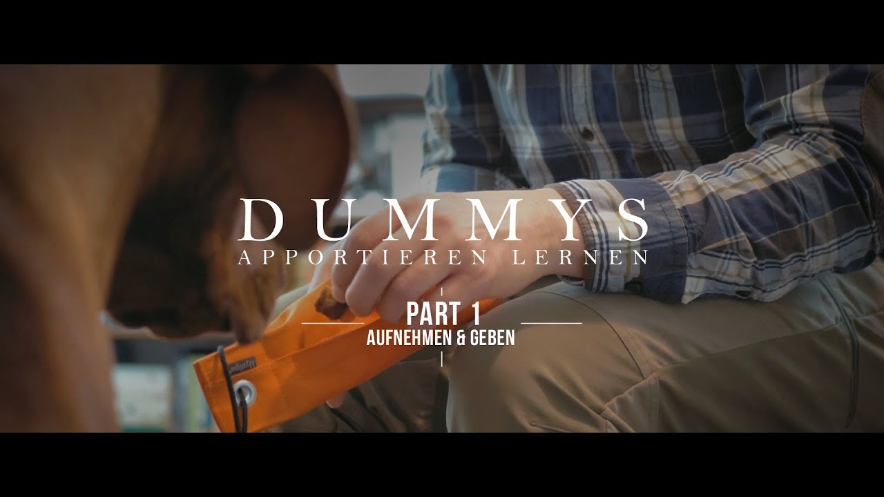 Dummys apportieren lernen - Part 1: Aufnehmen & Geben