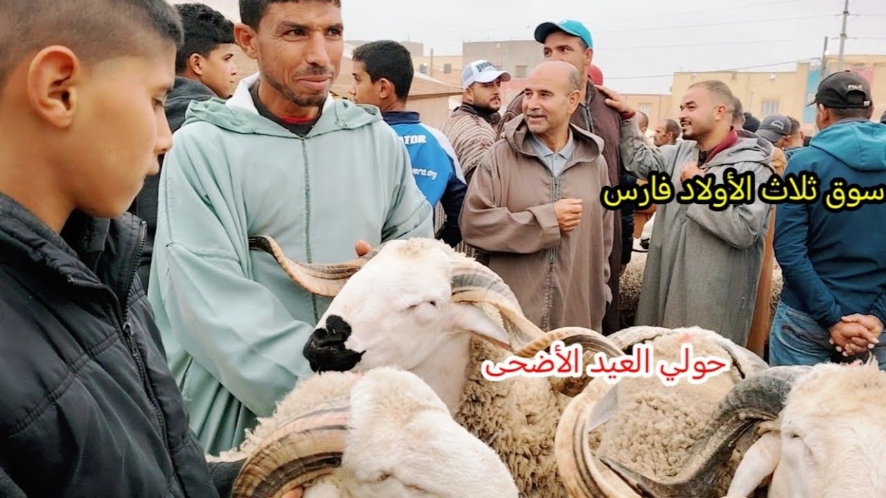 اليوم من سوق ثلاث الأولاد فارس امزاب مع التمن حولي العيد الأضحى تصوير بتاريخ 04/06/2024