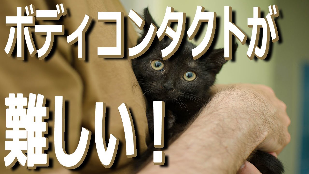 ボディコンタクトって難しいですよね。