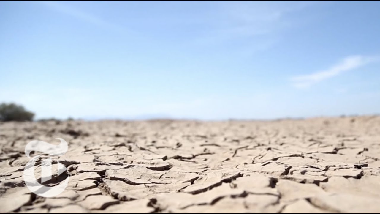 Bringing Back the Colorado River Delta - 2013 | The New York Times