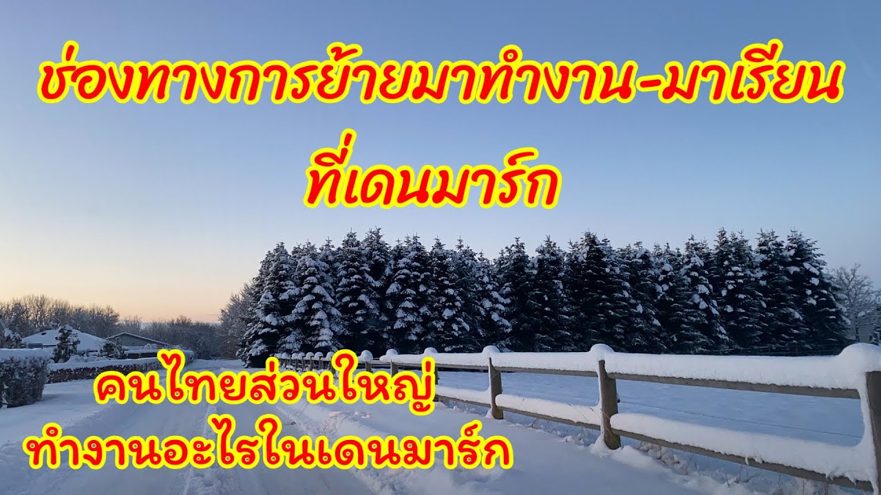 อยากย้ายมาทำงาน-มาเรียนที่เดนมาร์กต้องทำยังไง คนไทยส่วนใหญ่ทำงานอะไรในเดนมาร์ก