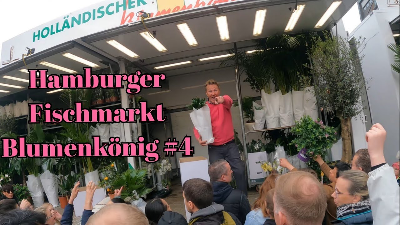 Hamburger Fischmarkt Holländischer Blumenkönig Nonstop #4
