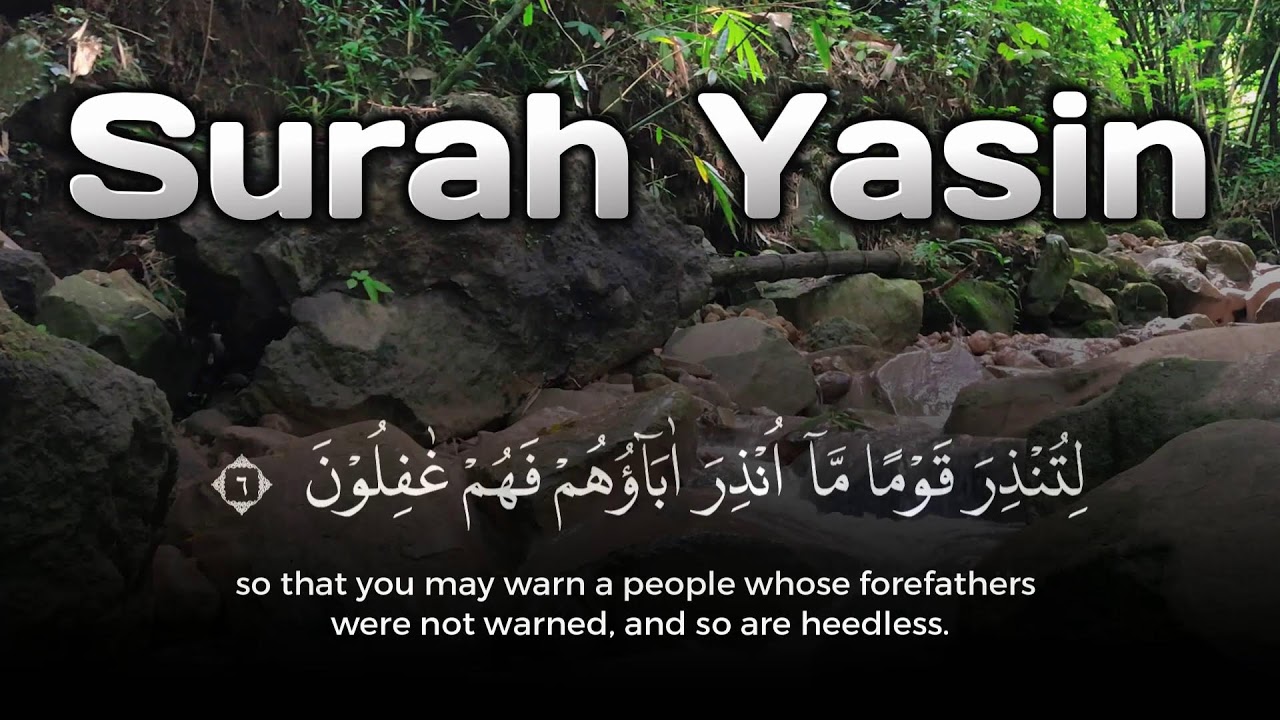 Gentle Recitation of Surah Yasin | Barakah and Rizq