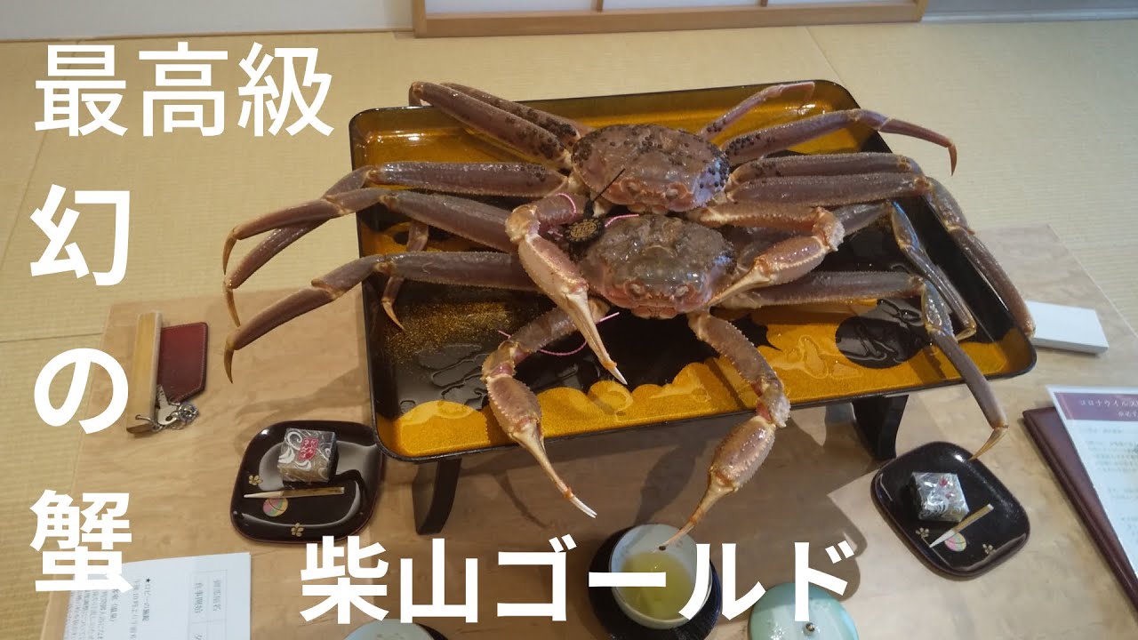 【露天風呂付き客室】料理旅館 オーシャンビュー「いっぺん庵」に最高級の幻の蟹(カニ)と言われる、柴山ゴールドを食べに行ってきました onsen japan