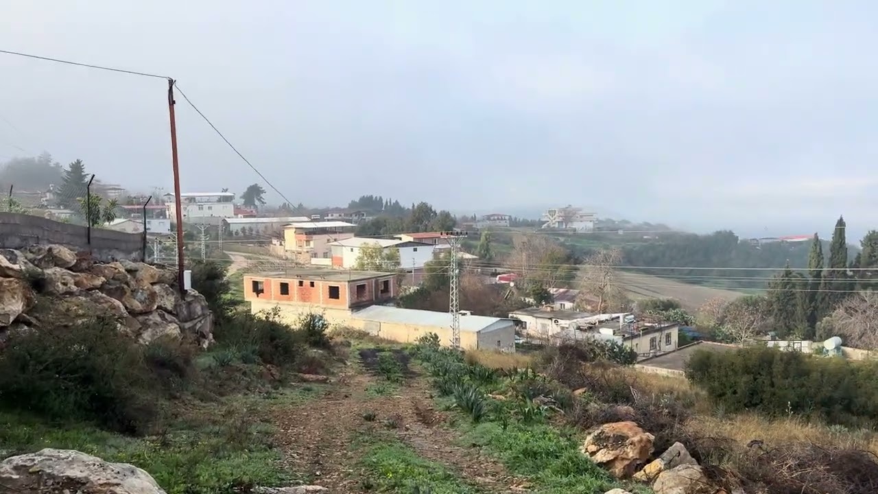 Şehrin Gürültüsünden Kaçış | Huzur Dolu Doğa Yürüyüşü 🌿