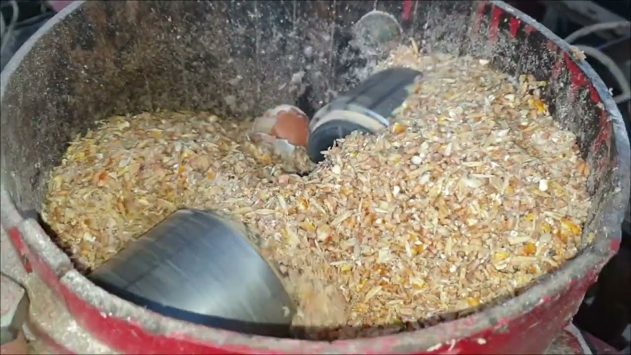 FEED PELLET MACHINE - ANIMAL FEED PELLET MACHINE