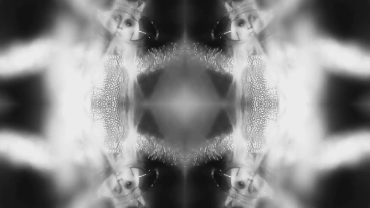 Bad Romance (Official Monster Ball Backdrop)