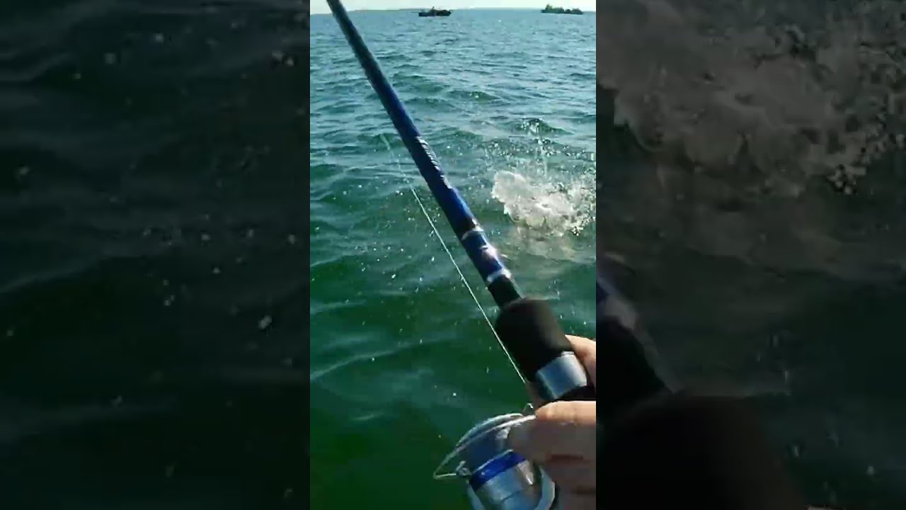 ONLY FINS - Best Topwater Hits of 2024 (Blow-up Compilation)