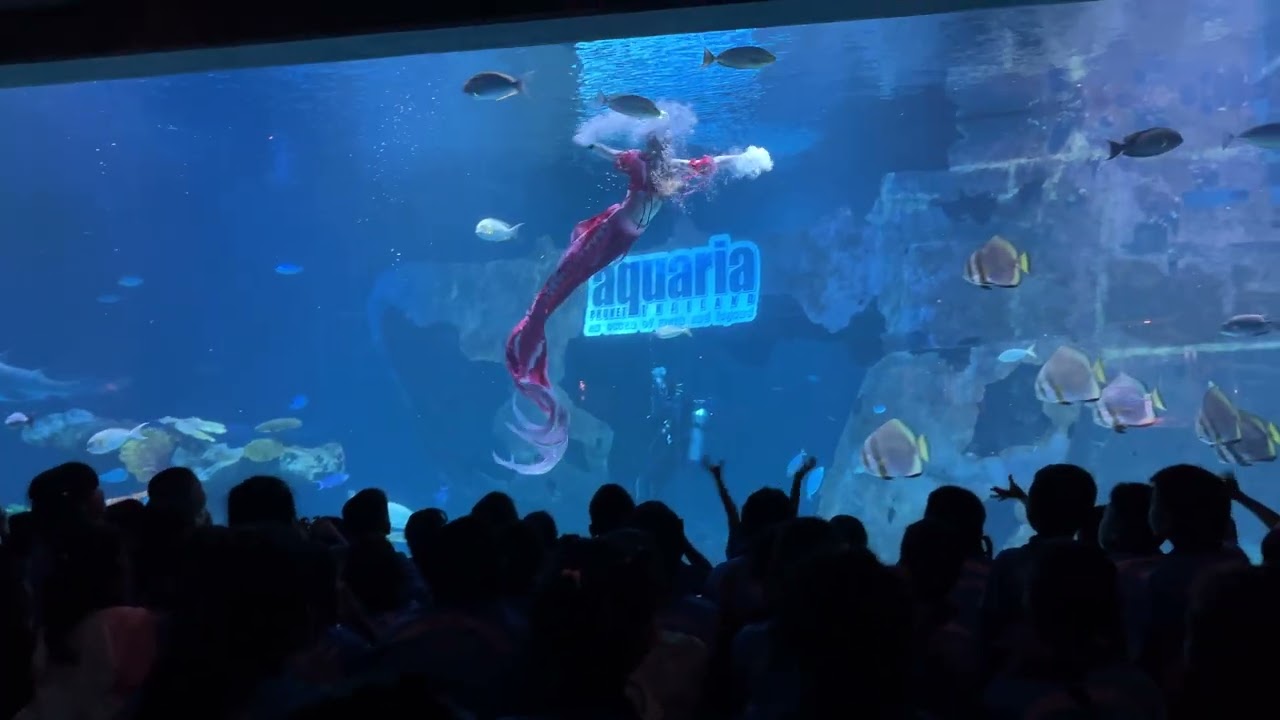 Aquaria Phuket - Mermaid Show - Part 2