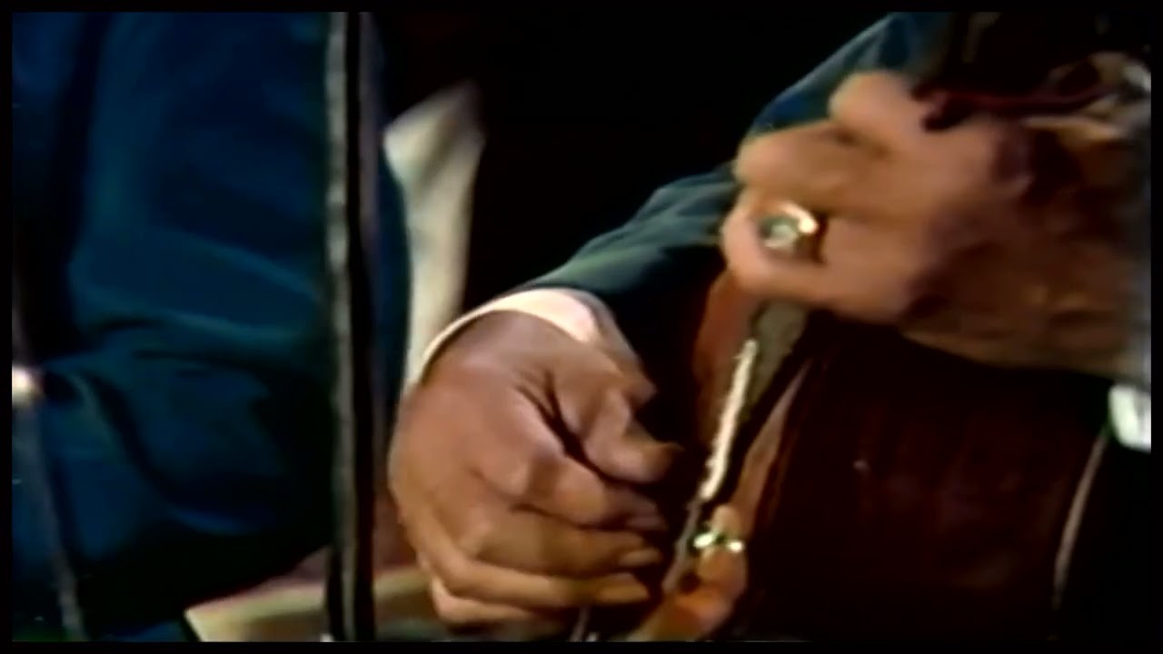 Compay Gato - Los Guaracheros de Oriente
