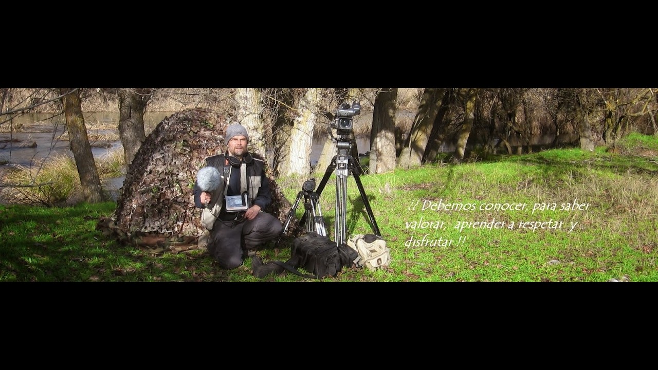 bosque ribereño