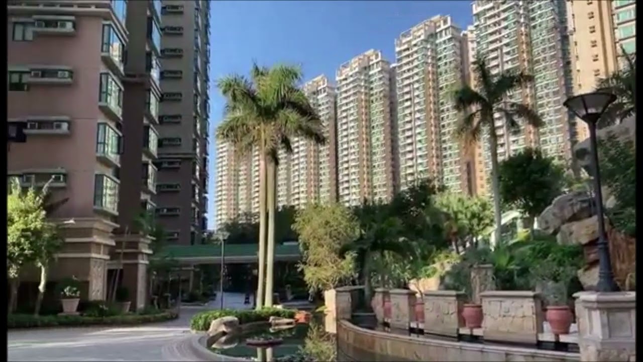 03-12-2022  Park Island Birds Churping, Ma Wan, Hong Kong